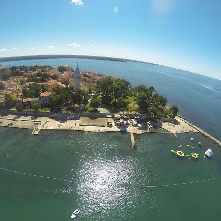 Apartma Jelka Novigrad  Exterior photo