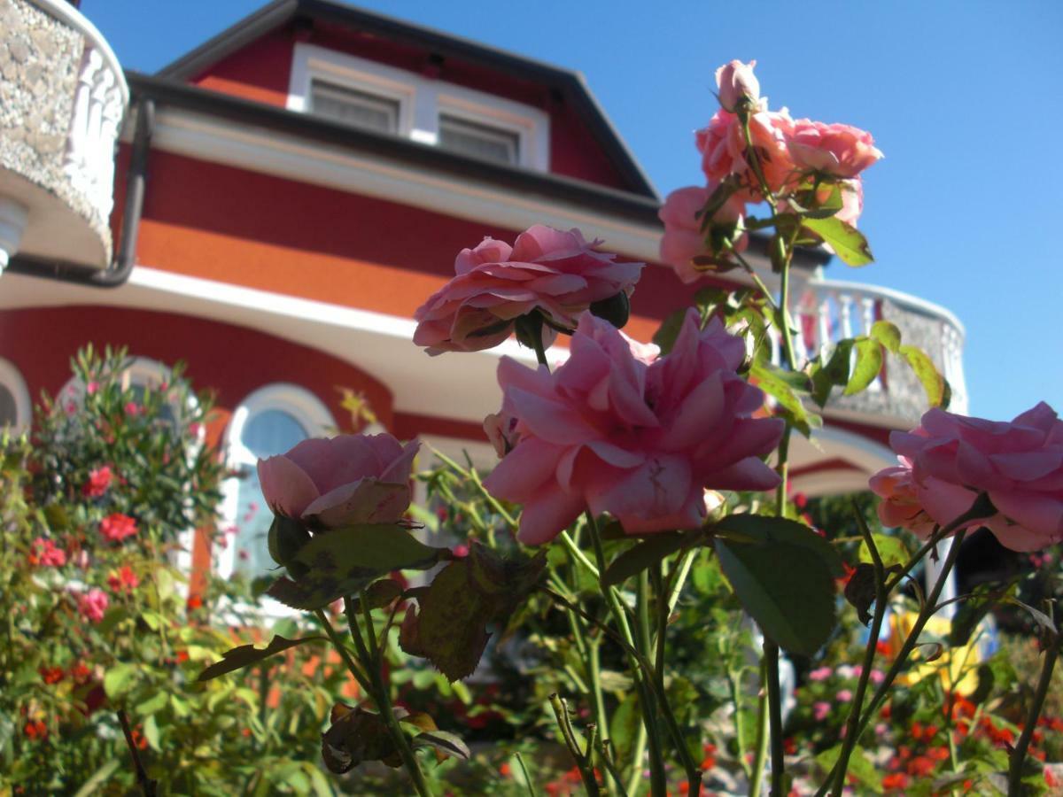 Apartma Jelka Novigrad  Exterior photo