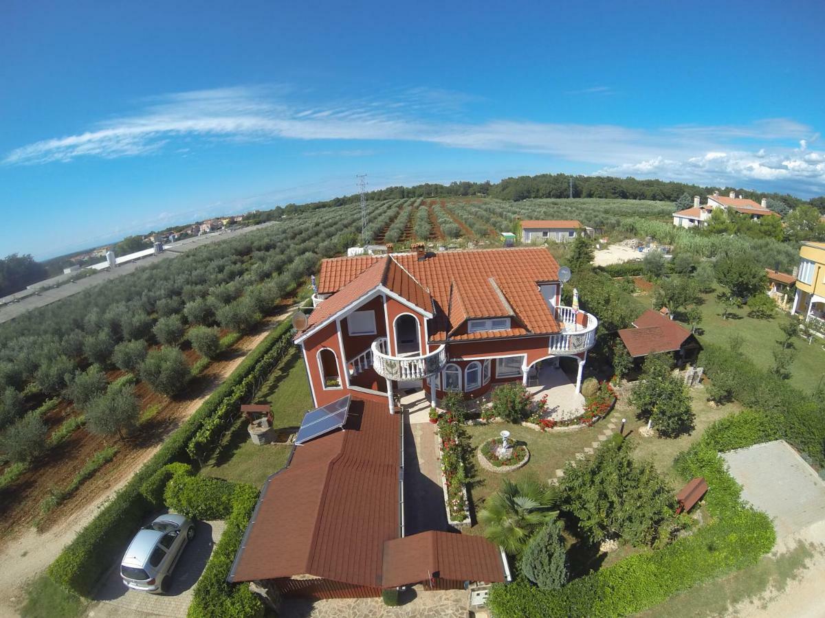 Apartma Jelka Novigrad  Exterior photo