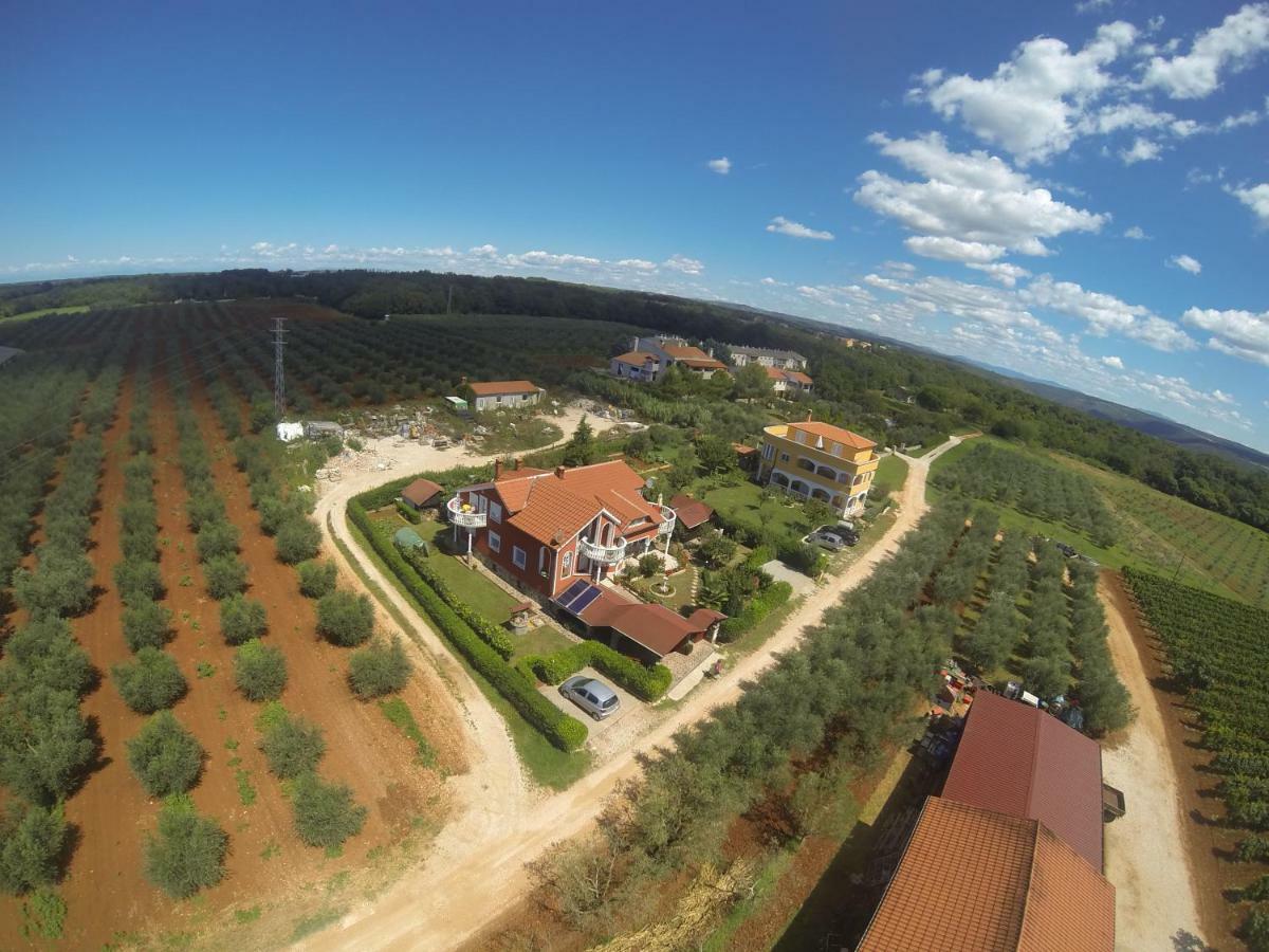 Apartma Jelka Novigrad  Exterior photo