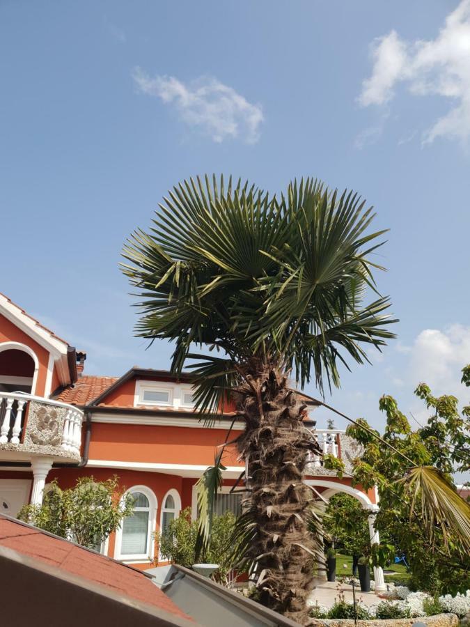 Apartma Jelka Novigrad  Exterior photo