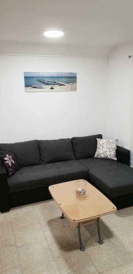 Apartma Jelka Novigrad  Exterior photo