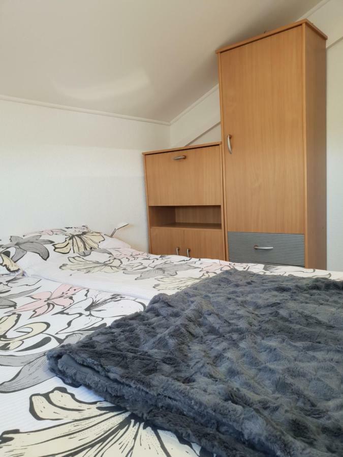 Apartma Jelka Novigrad  Exterior photo